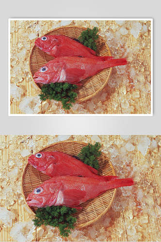 红鱼海鲜美食高清图片