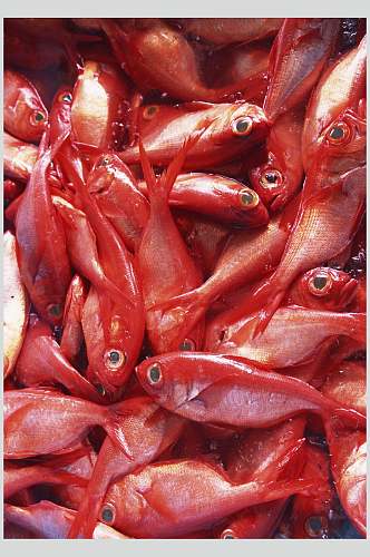 红鱼海鲜美食图片