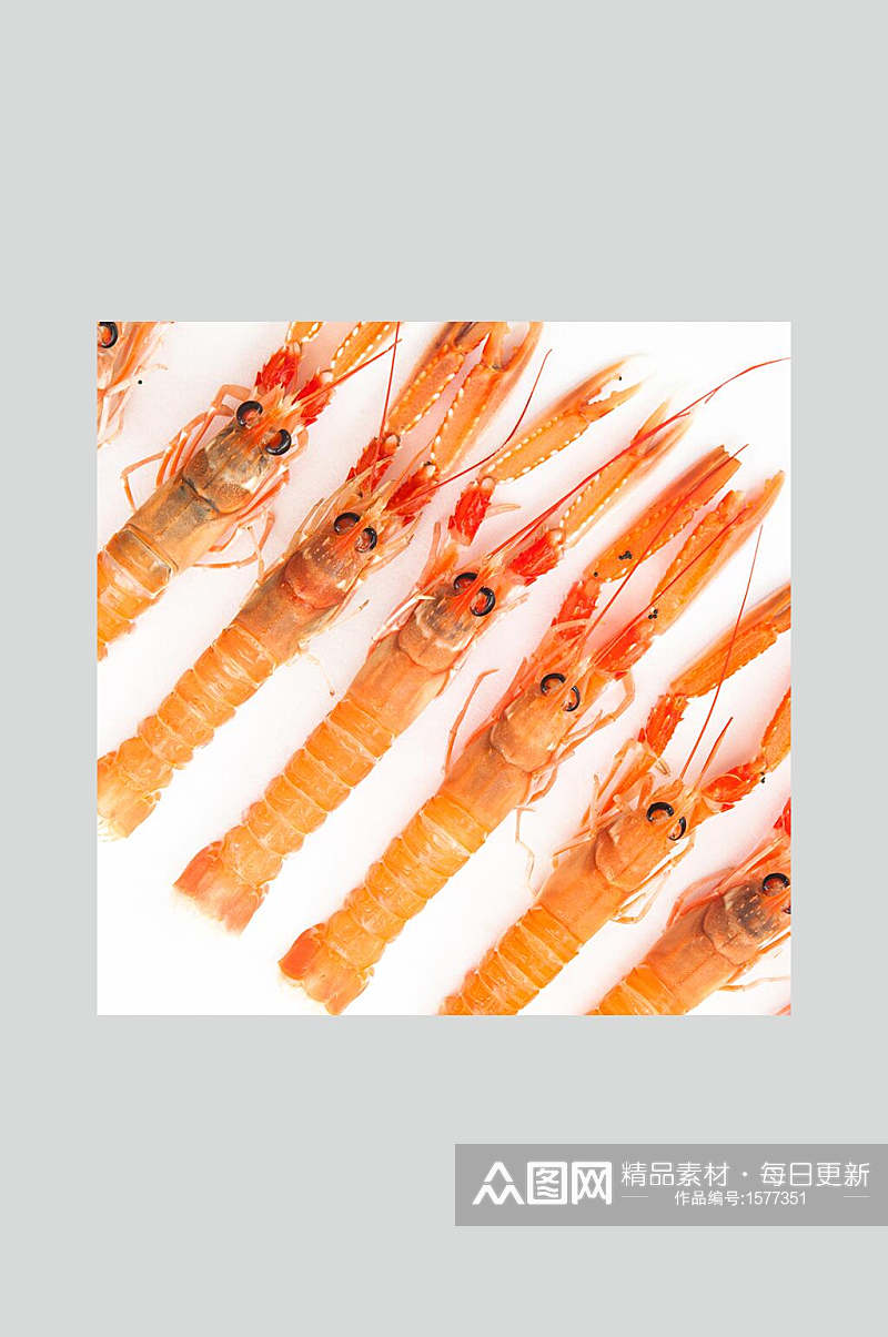 新鲜海产基围虾美食摄影图素材