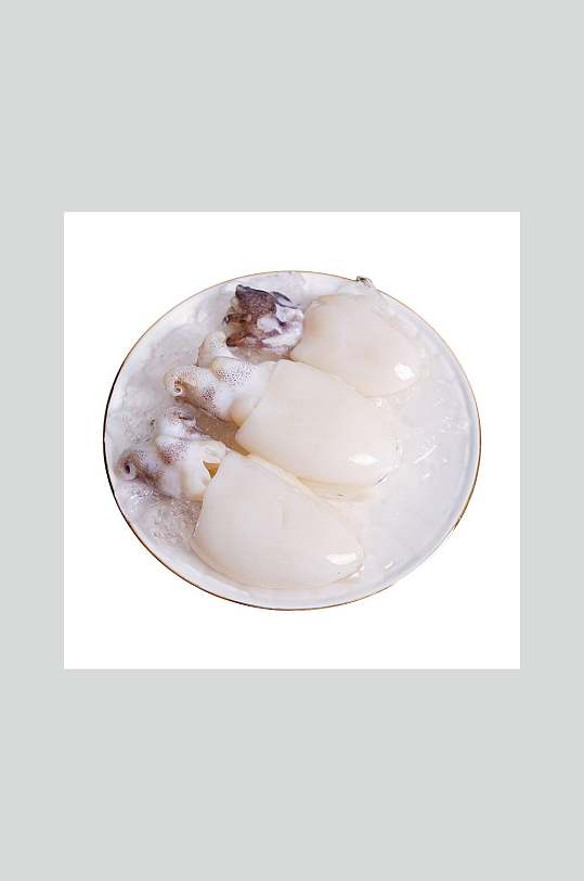 乳白软嫩墨鱼仔高清图片