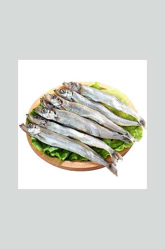 新鲜海产多春鱼高清图片