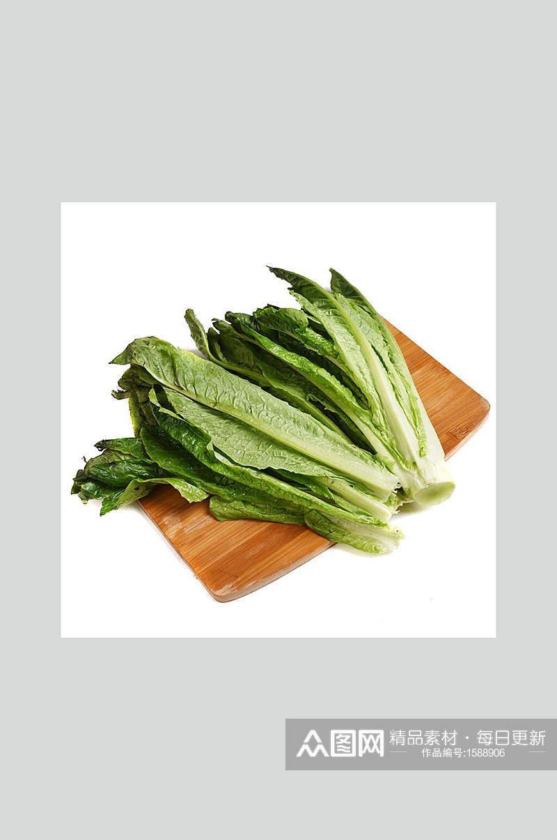 莴笋叶绿色营养食品摄影图素材
