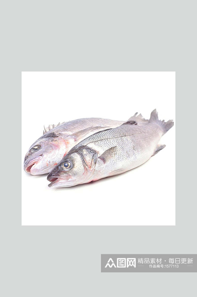 新鲜鲈鱼和多拉鱼美食摄影图素材