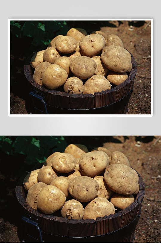新鲜果蔬大框土豆特写高清图片