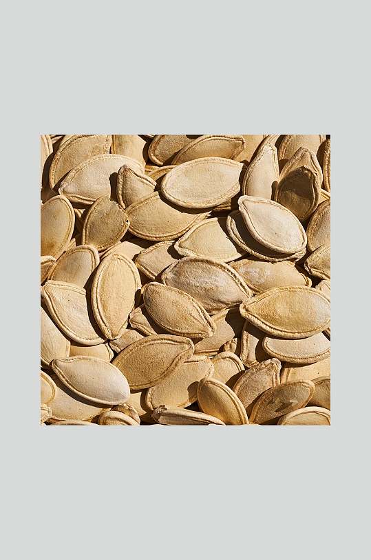 南瓜子卡通图片 南瓜子卡通素材下载 众图网