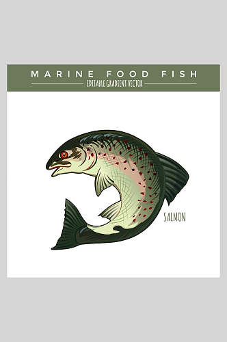 海洋生物鱼类插画素材