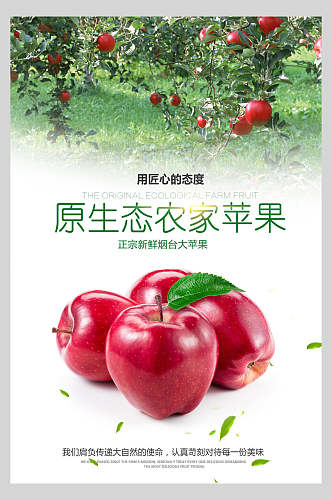 原生态农家苹果水果海报