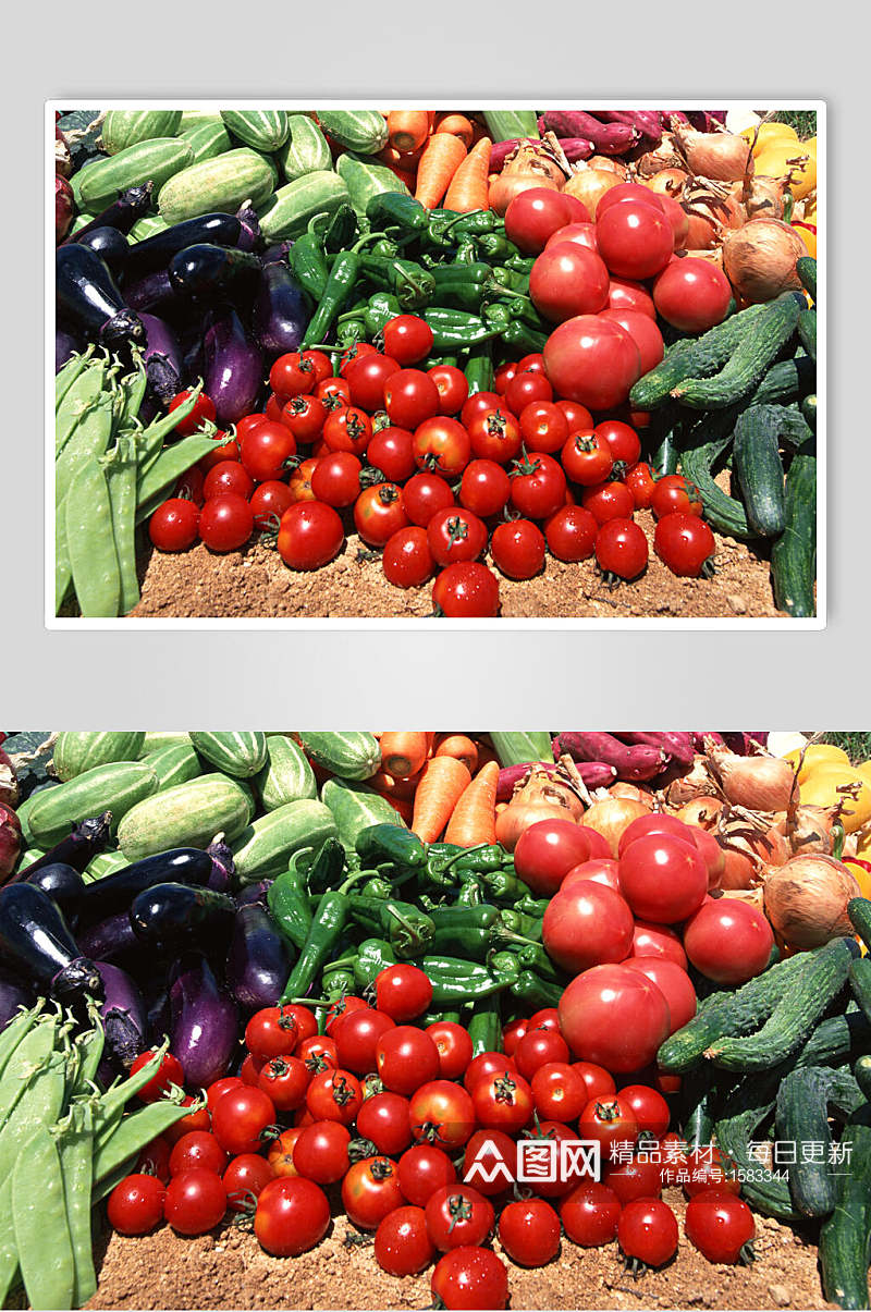 新鲜果蔬西红柿茄子近景图片素材