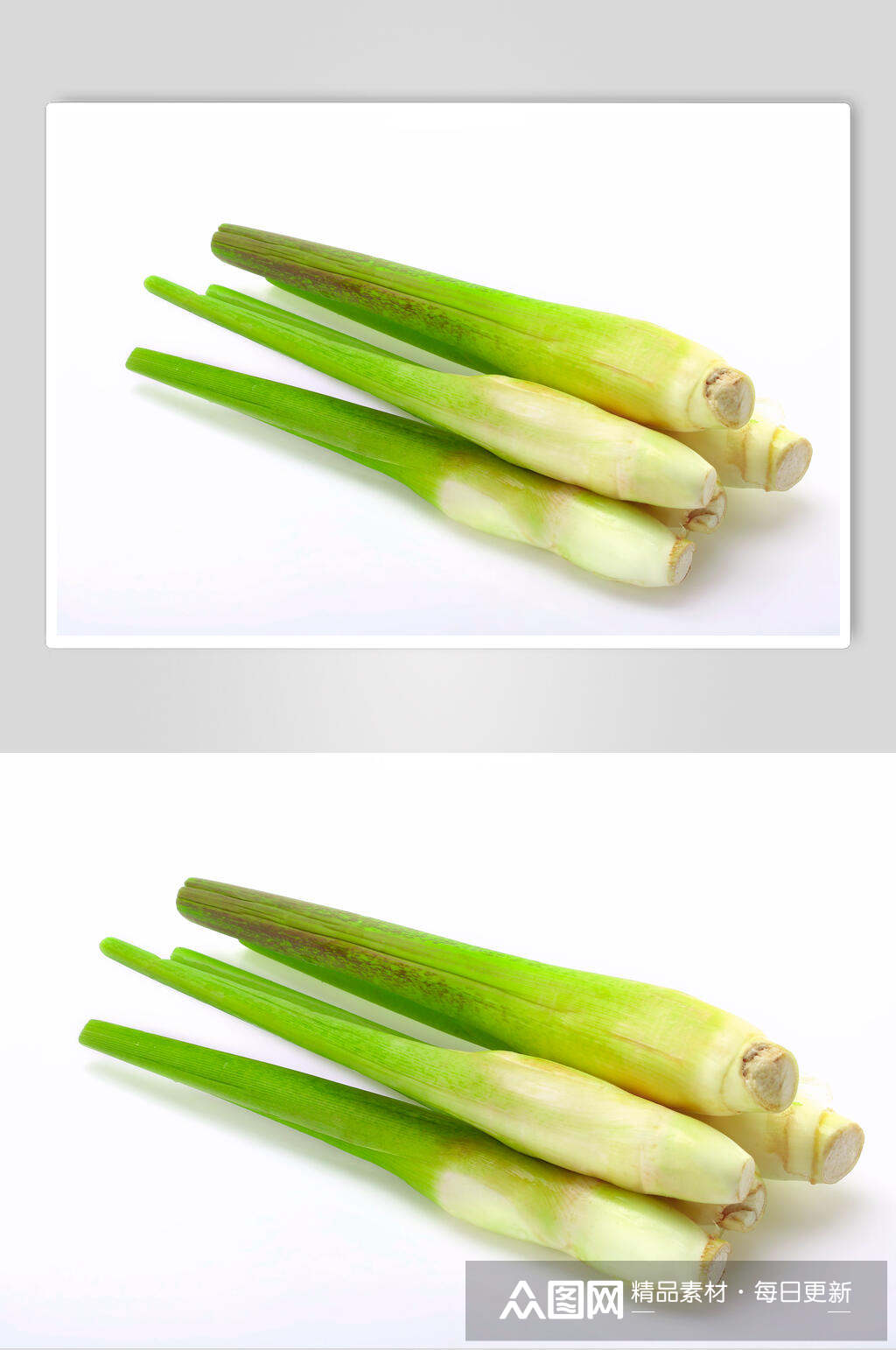 胶笋瓜果蔬菜白底蔬菜高清图片