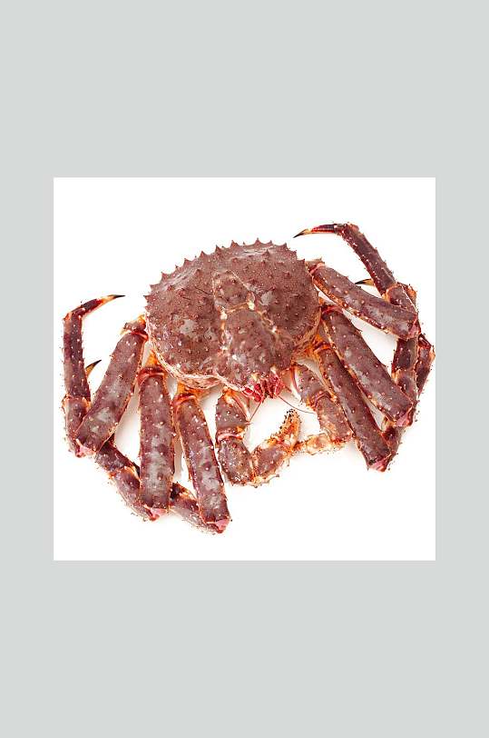 营养海鲜帝王蟹高清图片