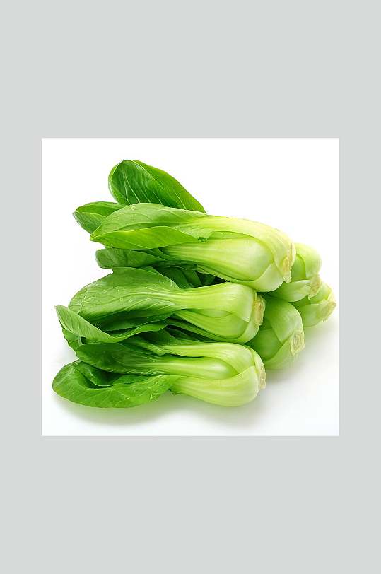 油菜白底图图片-油菜白底图素材-油菜白底图模板大全-第7页-众图网