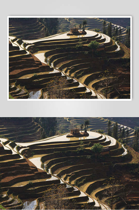 壮观美景经典特色梯田云南