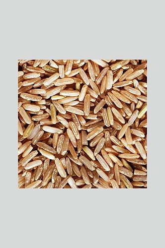 米营养主食摄影图