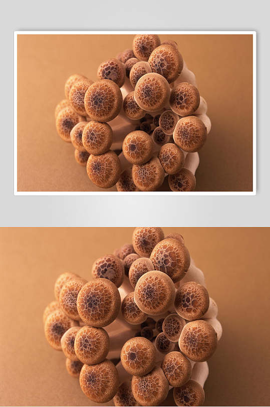 真菌x蘑菇美食摄影图