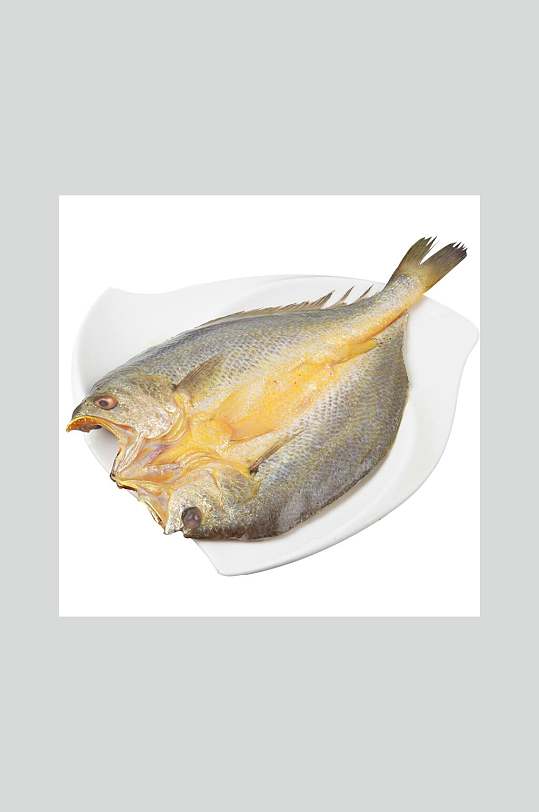 新鲜海鲜大黄鱼鲞高清图片