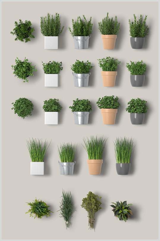 绿植盆栽整套VI样机效果图-众图网