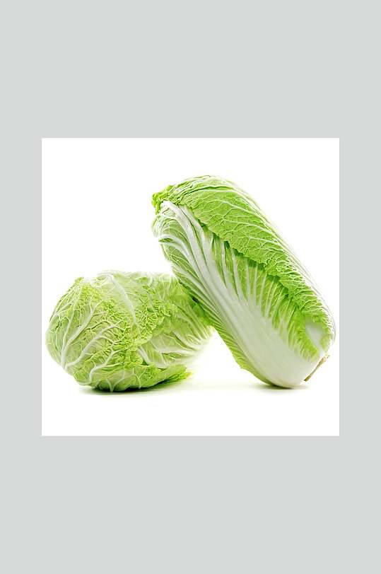大白菜高清图片
