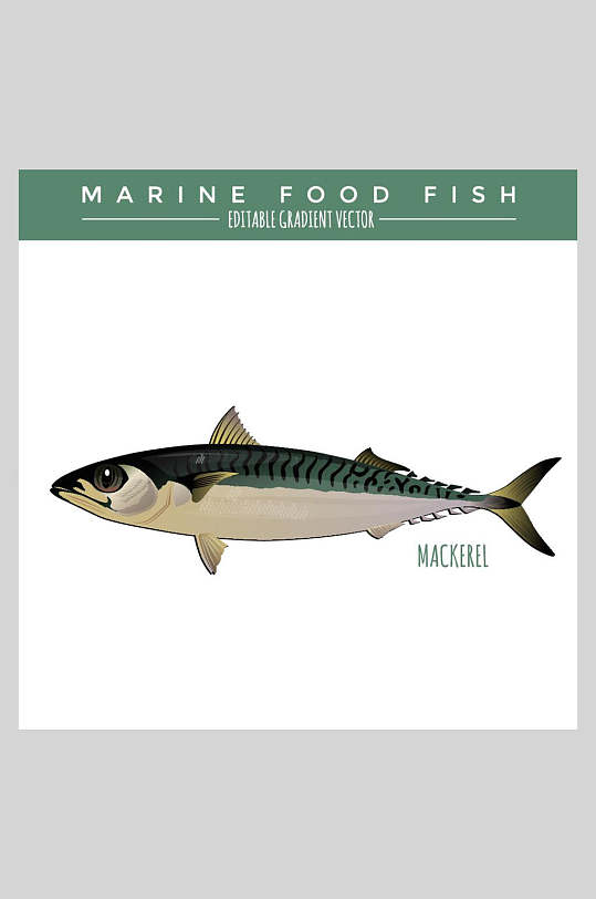 美食白底海洋生物鱼类插画素材