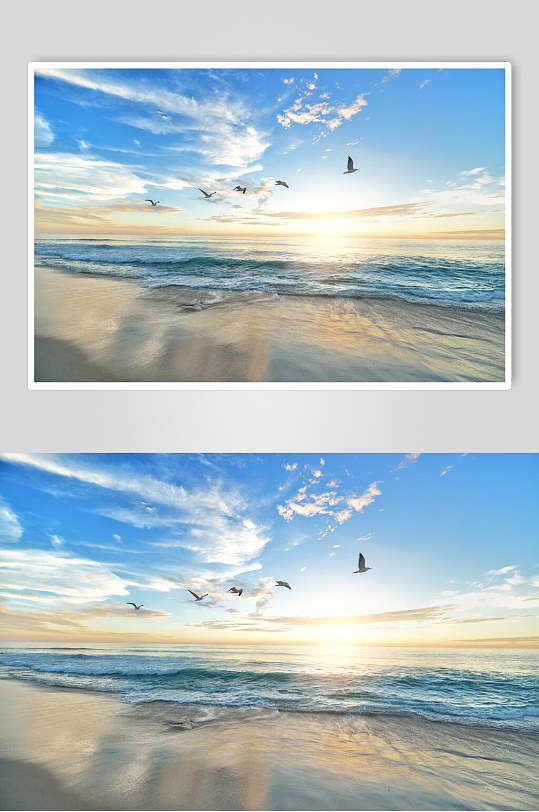 朝阳大海海浪图片