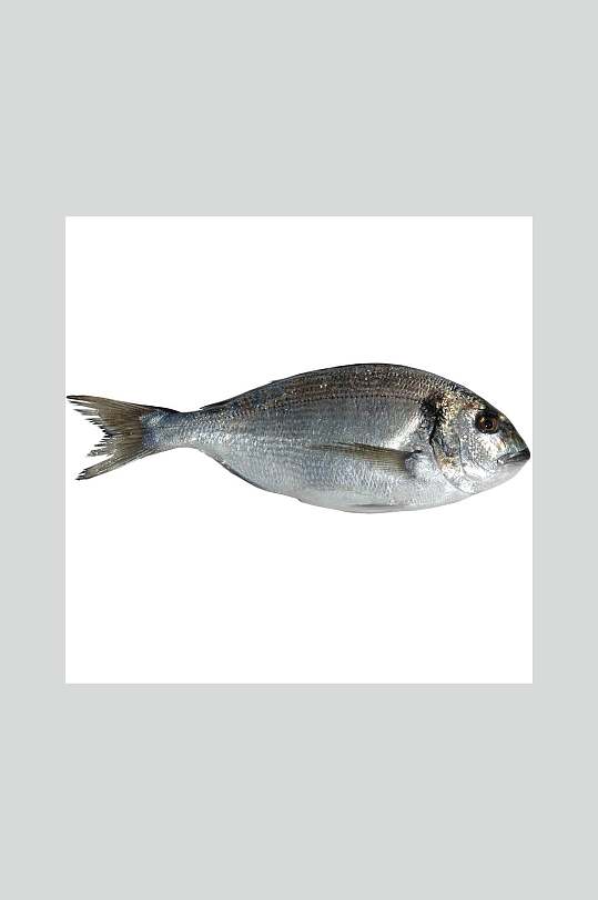 鲢鱼美食图片-鲢鱼美食素材下载-众图网