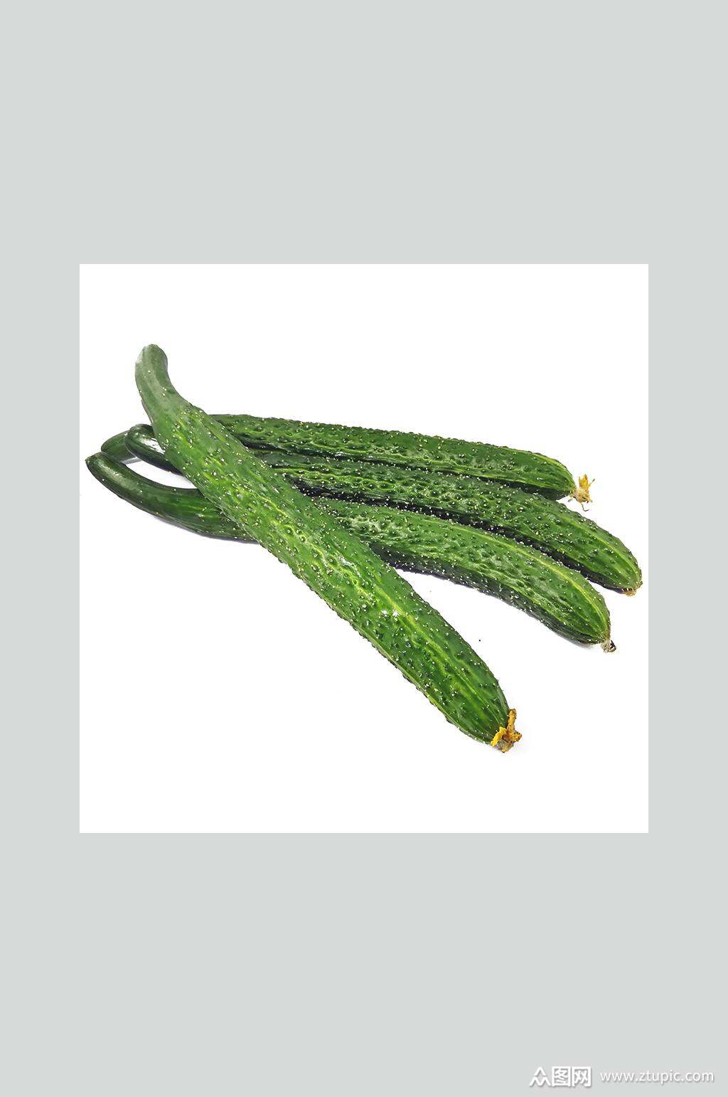 黄瓜特写摄影图片素材