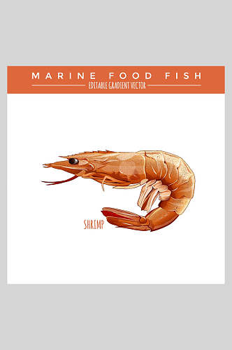 美食海洋生物虾类插画素材