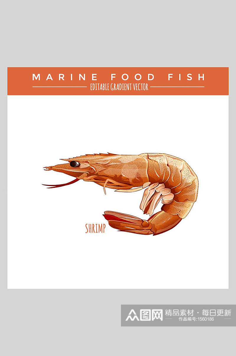 美食海洋生物虾类插画素材素材