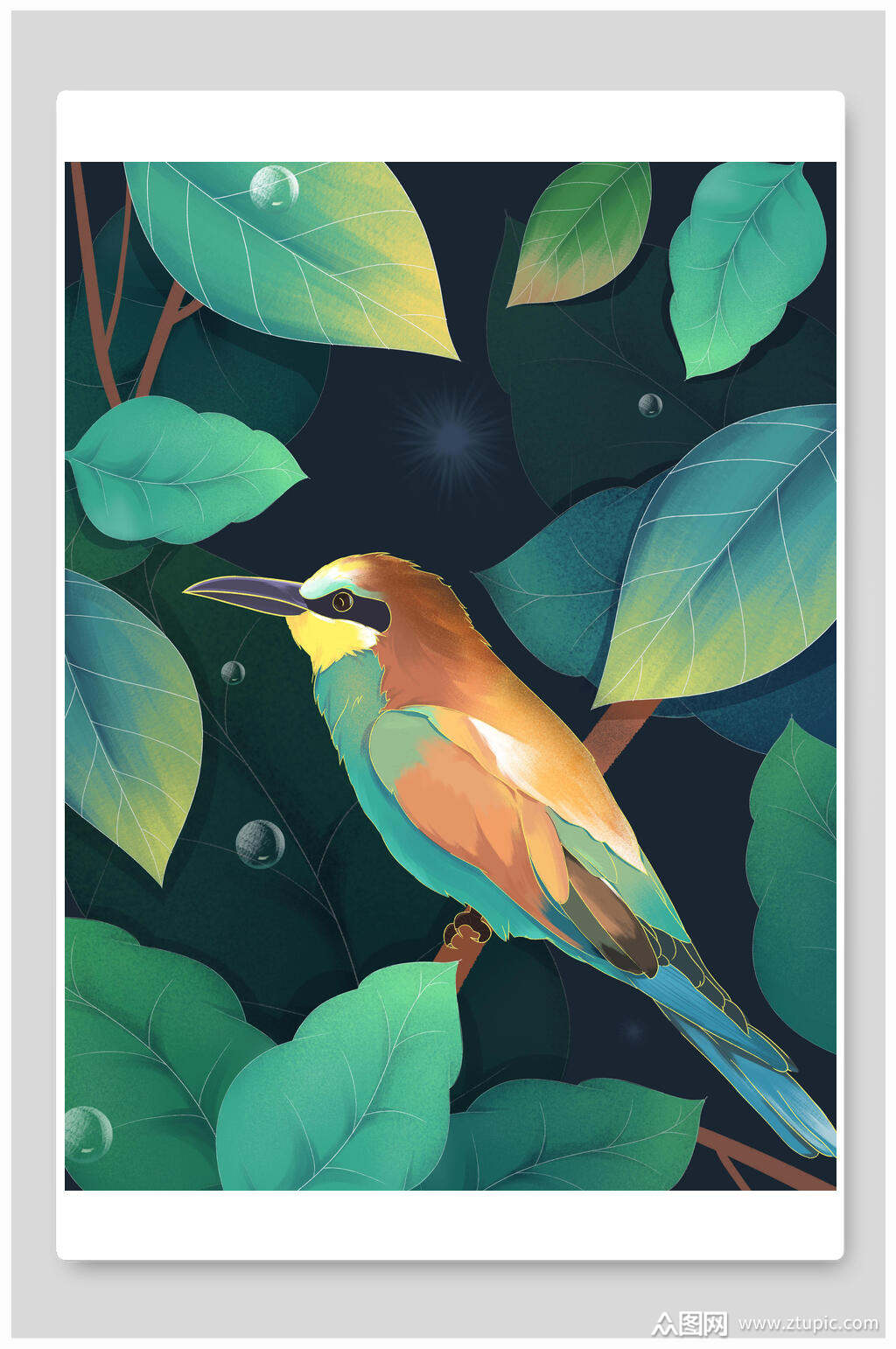 惊蛰鸟插画素材素材