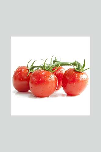 新鲜串红柿子美食摄影图