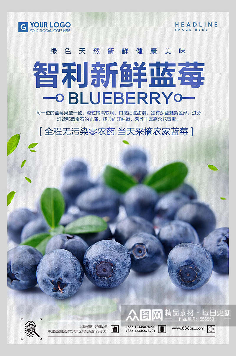 智利新鲜蓝莓水果海报素材