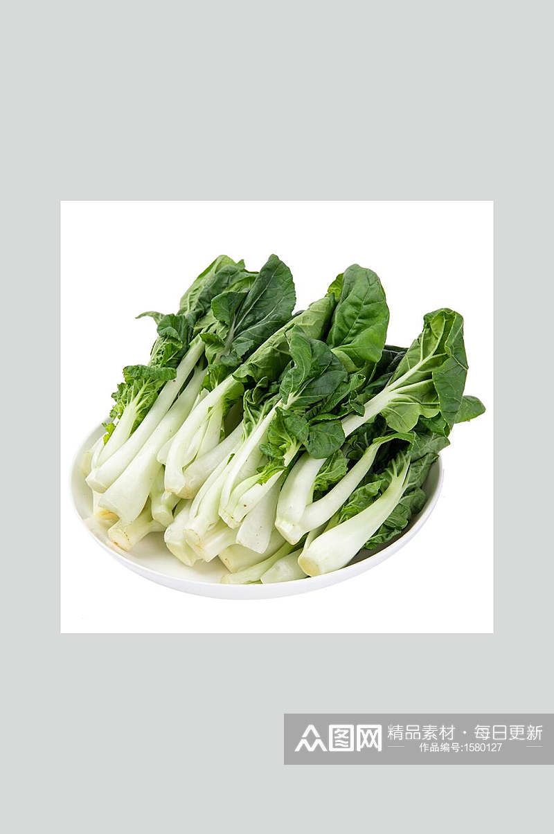 新鲜蔬菜奶白菜高清图片素材