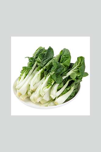 新鲜蔬菜奶白菜高清图片