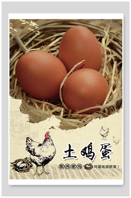 农家土鸡蛋宣传海报