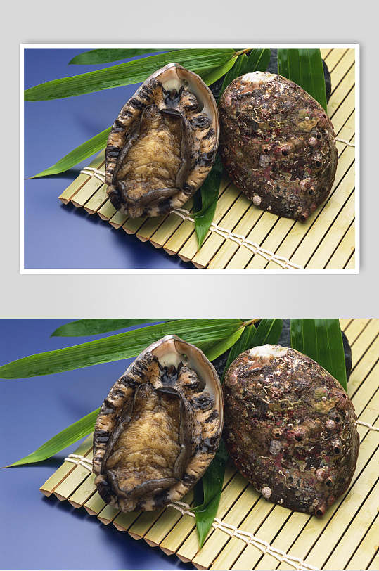 双个大个头鲍鱼摄影图