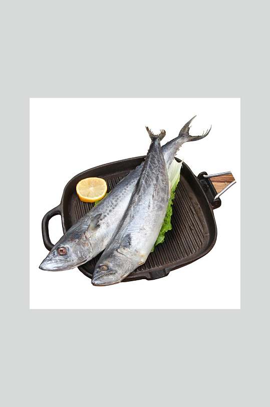 马鲛鱼特写摄影图片