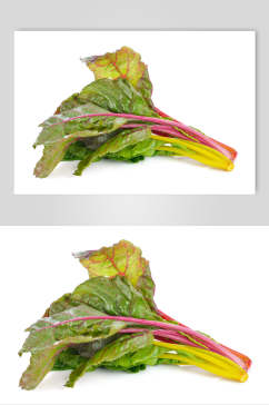 清新健康蔬菜白底图片摄影图