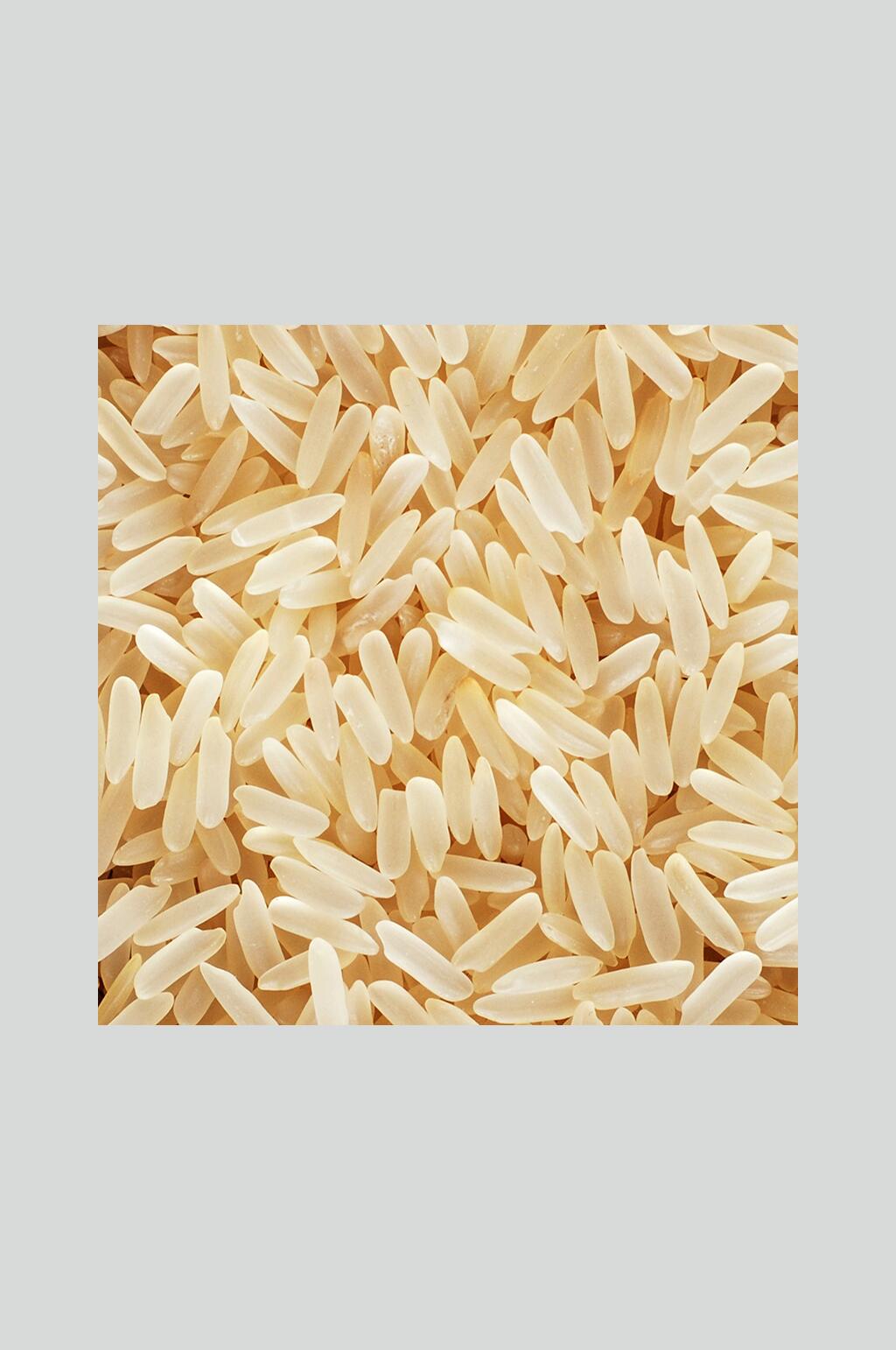 品质大米高清图片素材