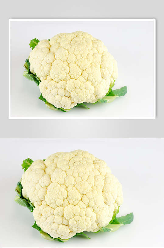 松花菜图片 松花菜素材下载 众图网 松花菜图片 松花菜素材下载 众图网