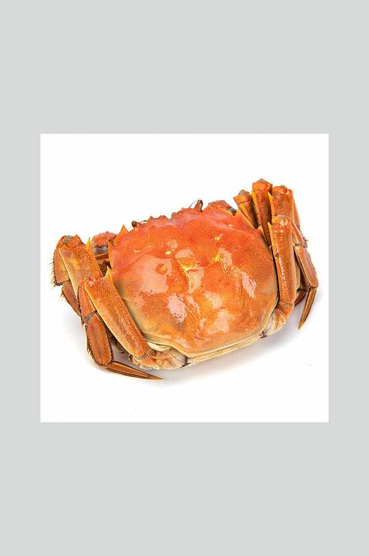 爆炒螃蟹图片-爆炒螃蟹素材下载-众图网