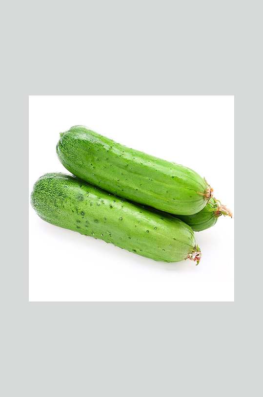秋黄瓜图片