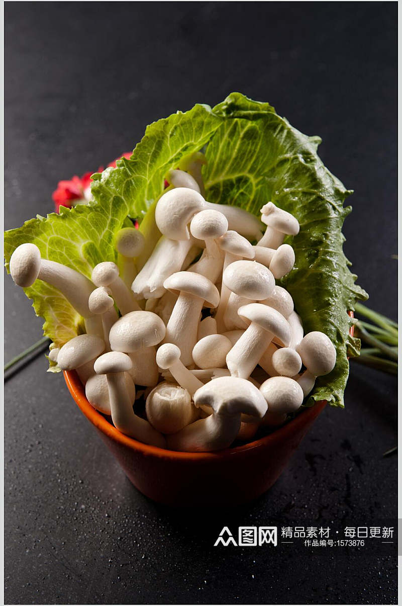海鲜菇蘑菇高清图素材