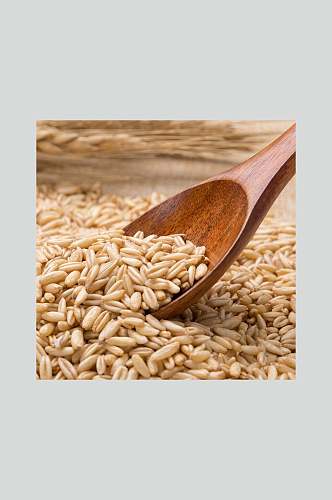 品质燕麦米高清图片