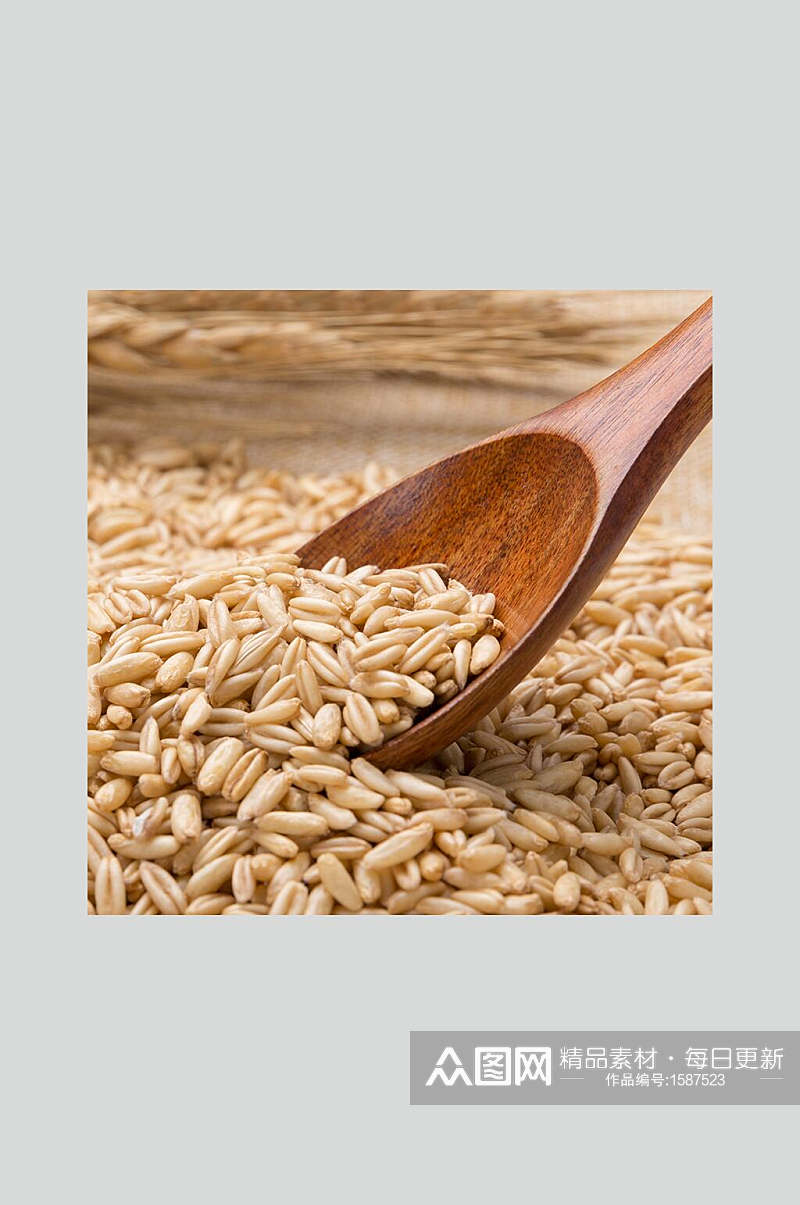 品质燕麦米高清图片素材