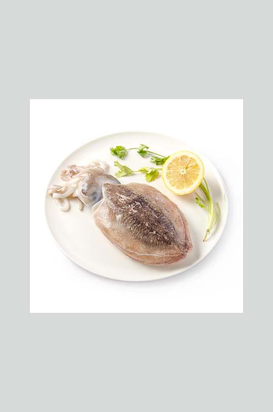 新鲜海产墨鱼高清图片