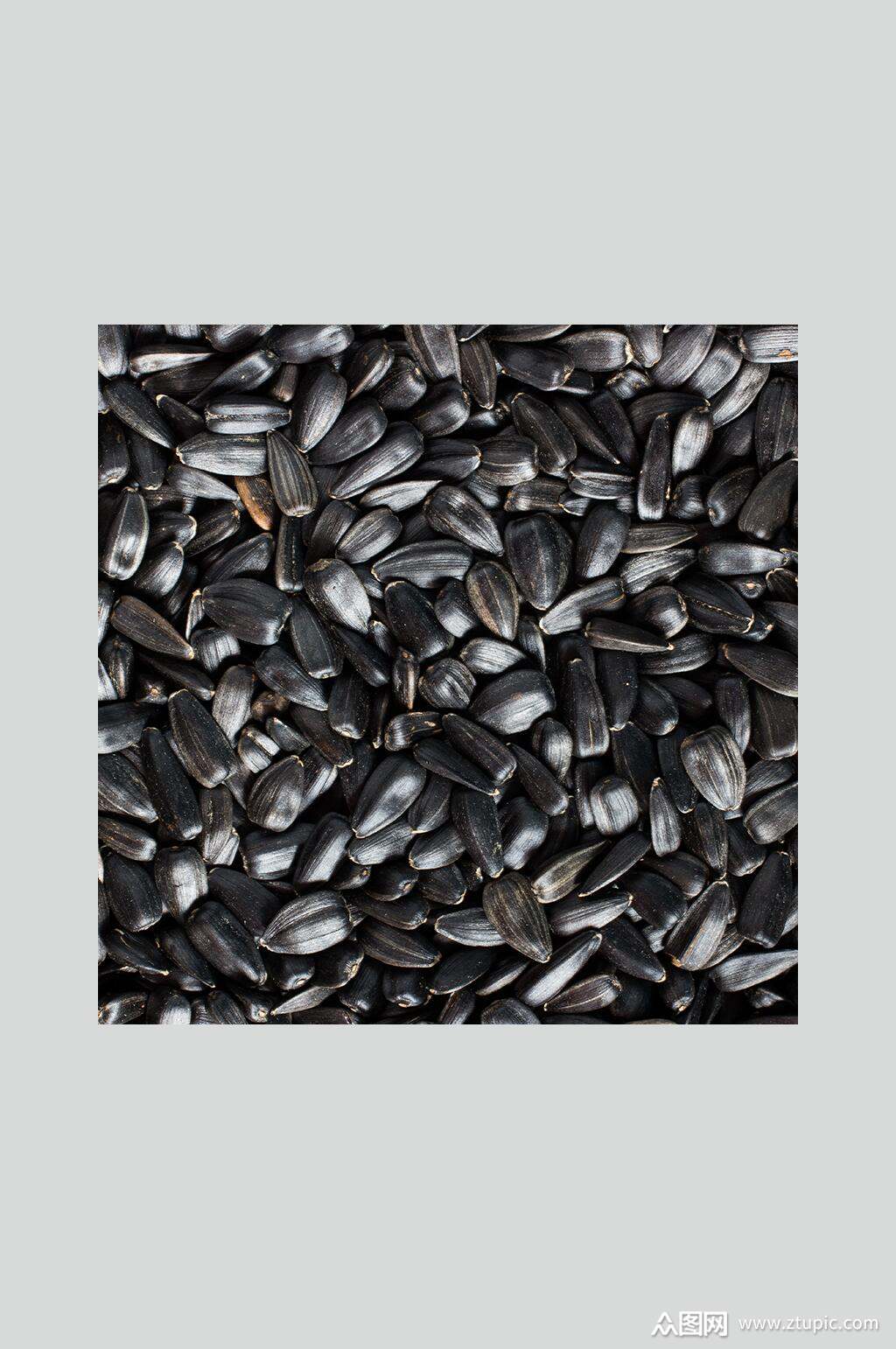 高清摄影黑色光泽小瓜子图片