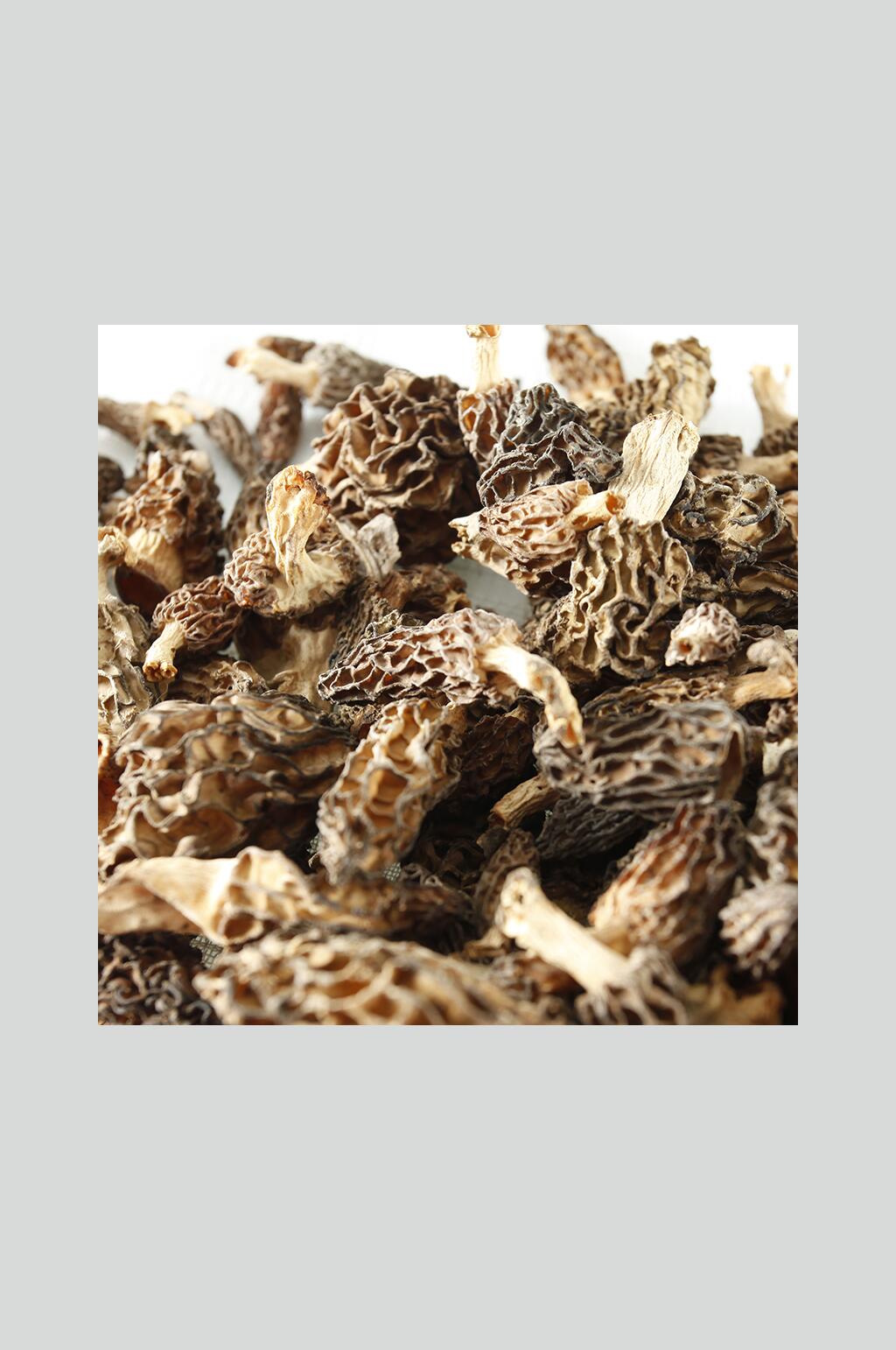 狼毒菌蘑菇营养图片