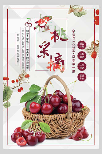 樱桃采摘水果宣传海报