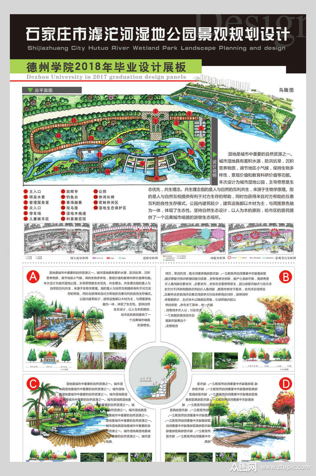 湿地公园景观规划设计毕业展展板海报素材
