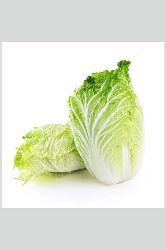 大白菜蔬菜青菜图片