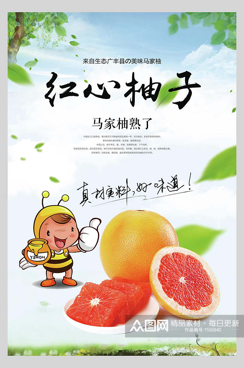 红心柚子水果海报素材